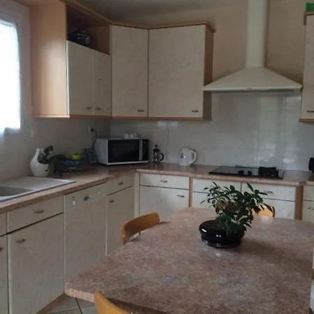 Homestay 100 M2 Pres D'eurexpo, Du Stade Ol Avec Ptit Dej *