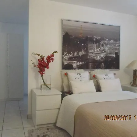 Homestay 100 M2 Pres D'eurexpo, Du Stade Ol Avec Ptit Dej *